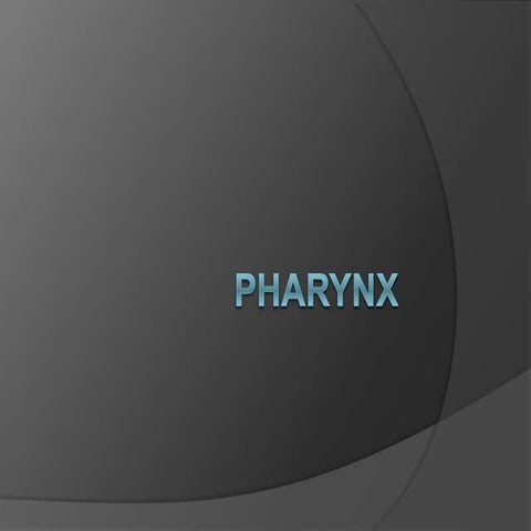 Pharynx anatomy