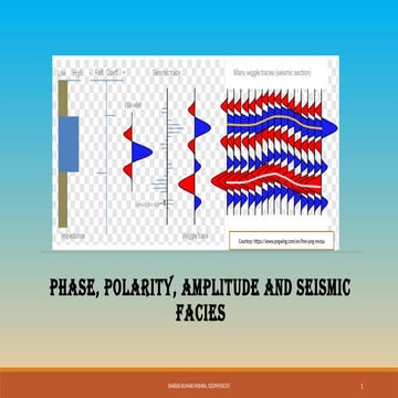 Phase, polarity, amplitude and seismic facies.pptx
