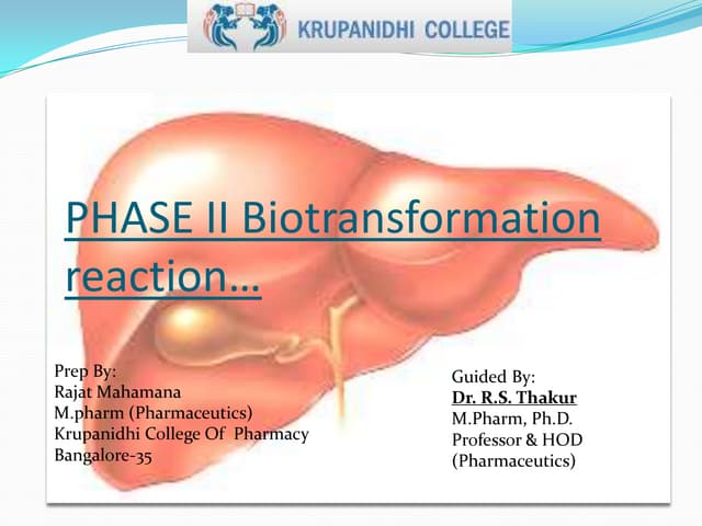 Phase ii biotransform of drugs