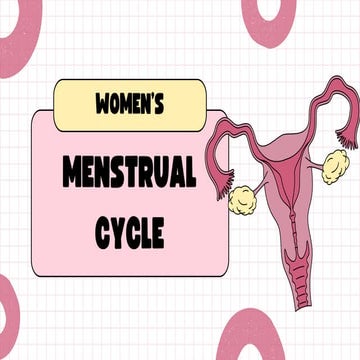 the menstrual cycle in female reproductive system | PPTX