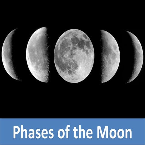 Phases of the Moon