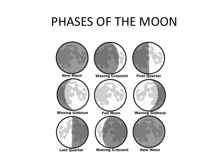 Phases of the moon i