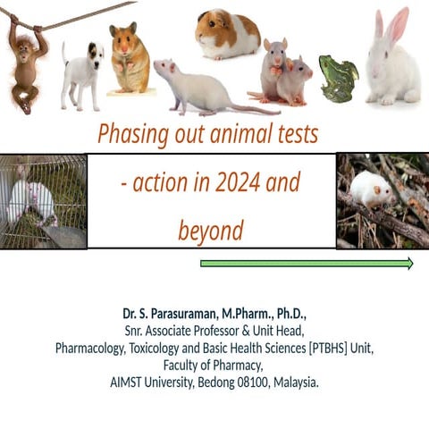 Phasing out animal tests - action in 2024 and beyond