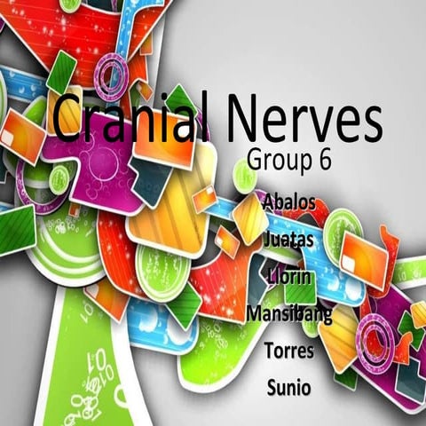 cranial nerves 