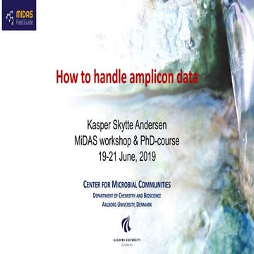 PhD course in amplicon sequencing at midas workshop 2019