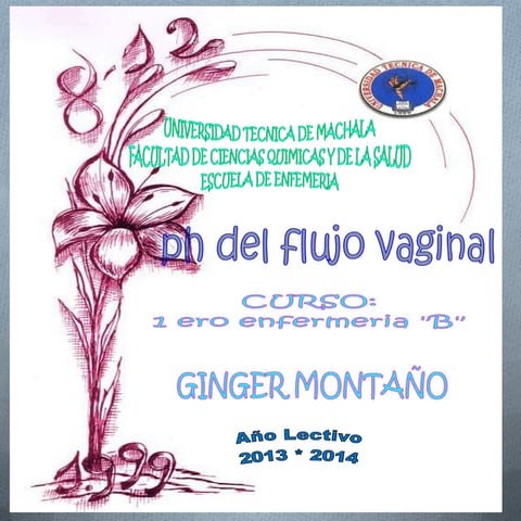 Phdelfluidovaginal 130903111058-