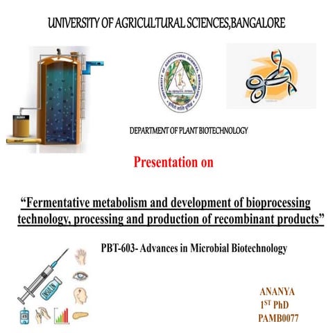 Fermentative metabolism and development of bioprocessing technology, processing and production of recombinant products