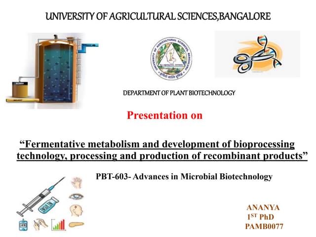 Fermentative metabolism and development of bioprocessing technology, processi...