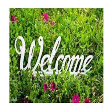 Effect of Biochar on Crop Productivity and Soil Health