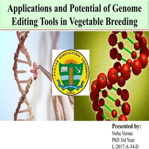 Applications and potential of genome editing tools in vegetable breeding