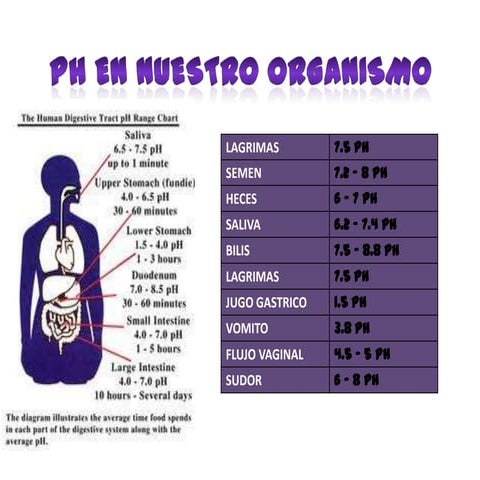 pH EN EL CUERPO HUMANO