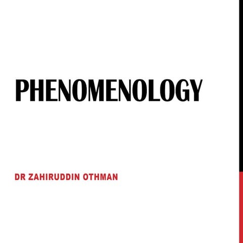 Phenomenology
