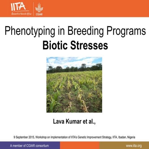 Phenotyping in Breeding Programs for biotic stresses 