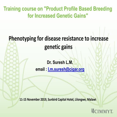 Phenotyping for disease resistance to increase genetic gains suresh l m malawi