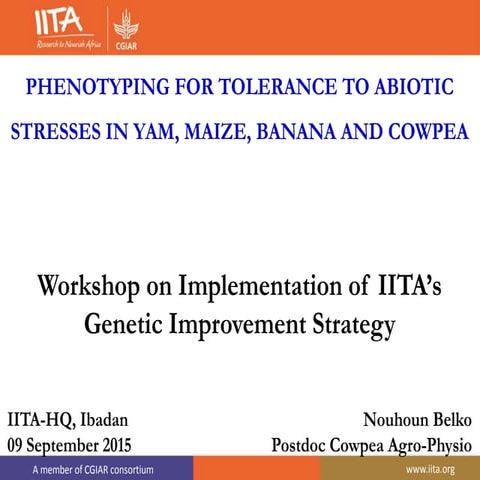 Phenotyping for tolerance to abiotic stresses 