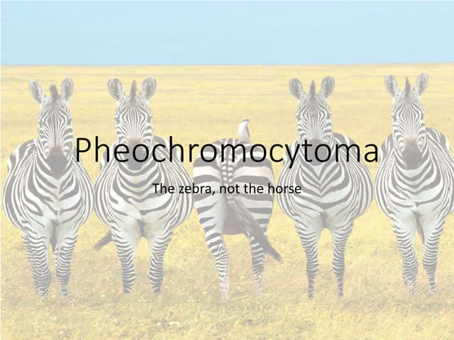 Pheochromocytoma