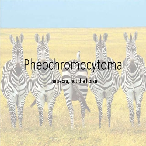 Pheochromocytoma