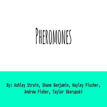 Pheromones!
