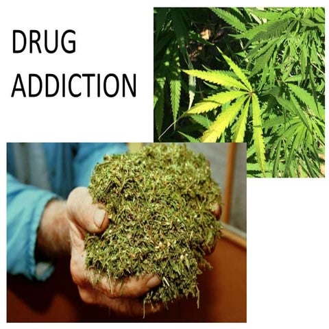 Drug Addiction