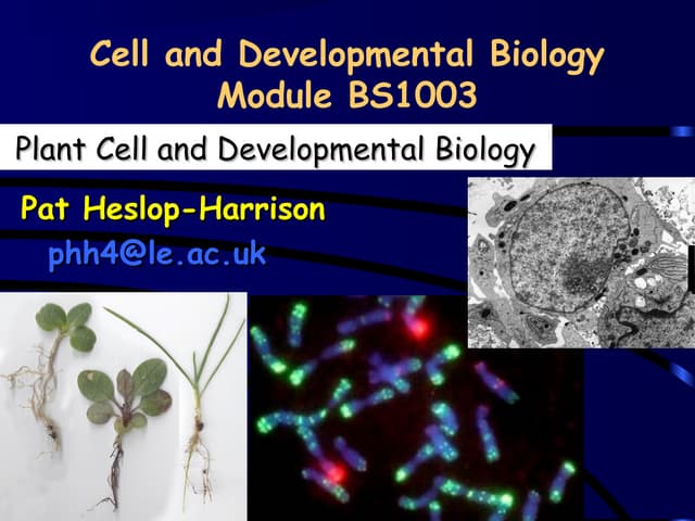 BS1003 - Light and plant development lecture