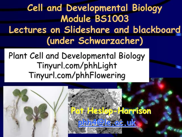 BS1003: The transition to flowering. Pat Heslop-Harrison