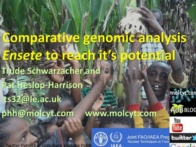 Genomics, mutation breeding and society - IAEA Coffee & Banana meeting - Schwarzacher Heslop-Harrison