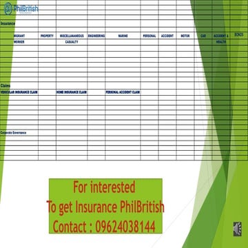 Comprehensive Non-Life Insurance Solutions by Philippine British ...