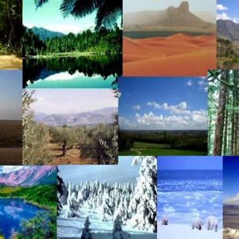 Powerpoint in Philippine History (Chapter 2 part 2)