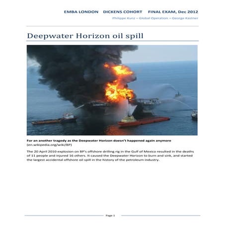 Deepwater Horizon oil spill case
