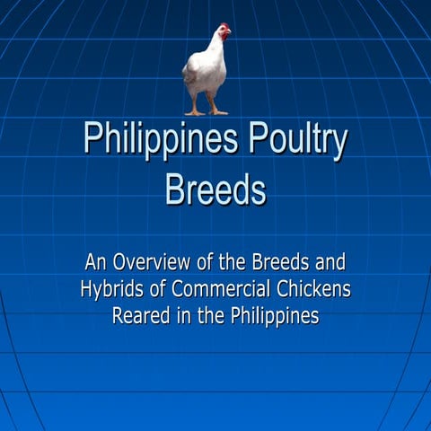 Philippines Commercial Poultry Breeds