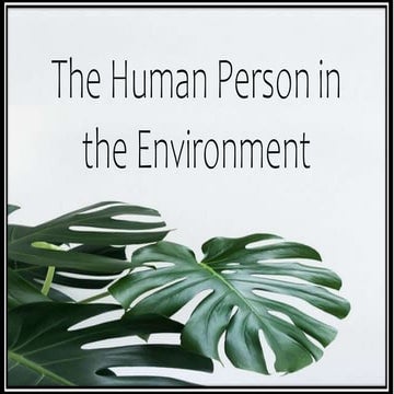 Human Person and the Environment