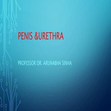 phimosis, paraphimosis & ca penis (CBME).pptx