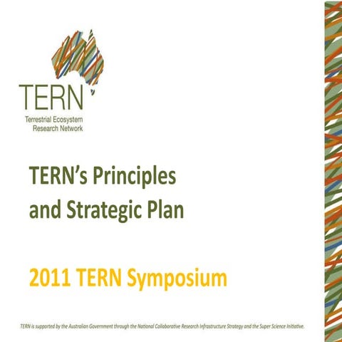 Phinn TERN Principles and Strategic PLan