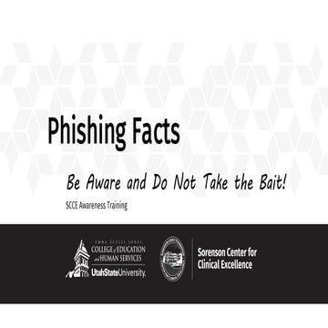 phishing facts be aware and do not take the bait
