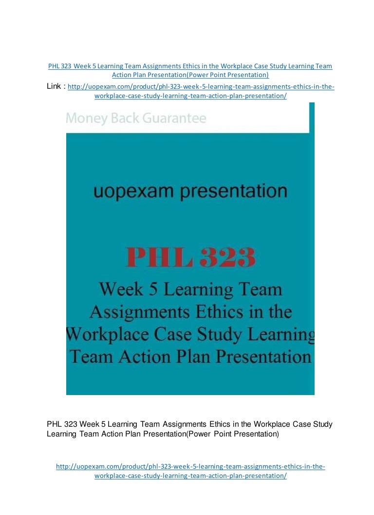 Phl 323 ethics in the workplace case study action plan and presentation on 08 picture
