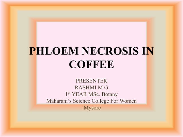 PHLOEM NECROSIS OF COFFEE PLANTDISEASE.pptx