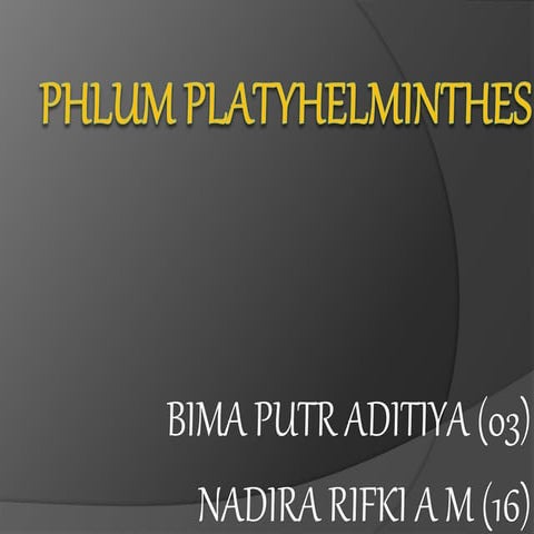 Phlum platyhelminthes