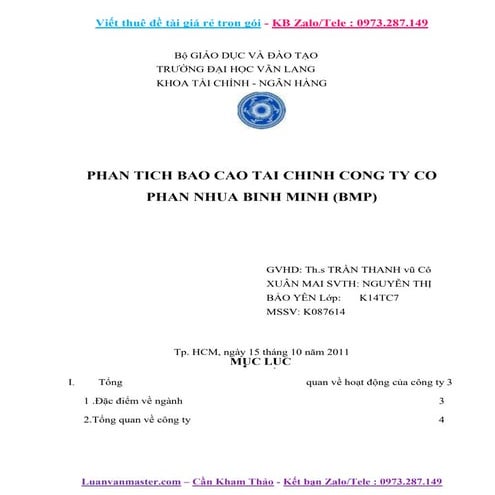Phân tích báo cáo tài chính công ty nhựa Bình Minh, 9 điểm.docx