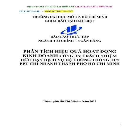 Phân Tích Hiệu Quả Hoạt Động Kinh Doanh Công Ty Hệ Thống Thông Tin