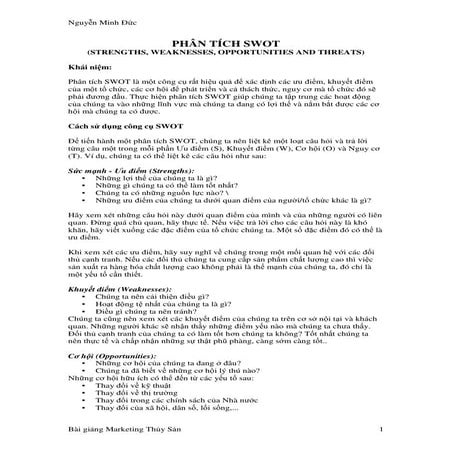 Phân tích swot