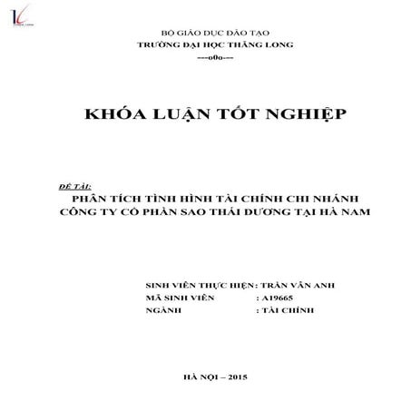 Phân tích tình hình tài chính Chi nhánh Công ty cổ phần Sao Thái Dương tại Hà Nam.pdf