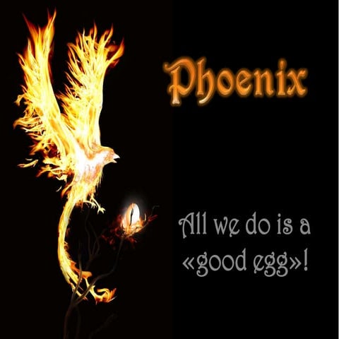 Phoenix team citizen act