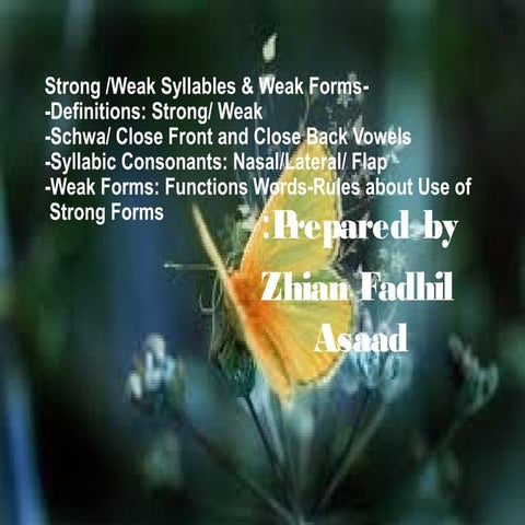 Phonetics and phonology week 6