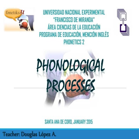 Phonological processes phonetics ii