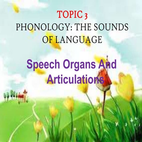 Phonology.speech organs and articulation