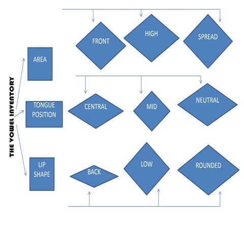 Phonology contrastive por Estefanny Trelles