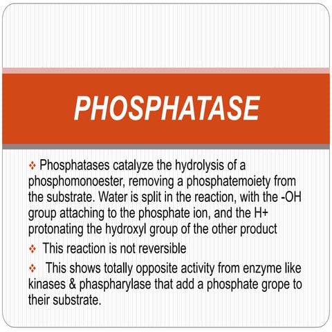 Phosphatase PPT
