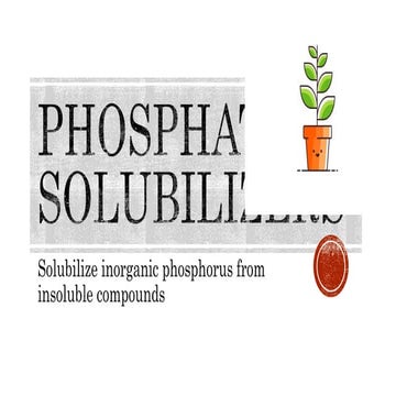 Phosphate solubilizers