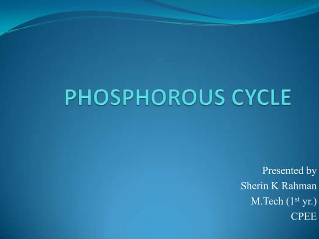 Phosphorous cycle