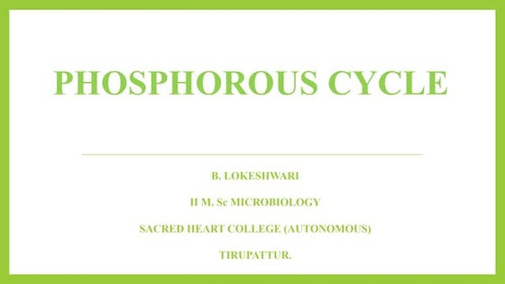 Phosphorus Cycle For Kids Biogeochemical Cycle | Definition & Facts